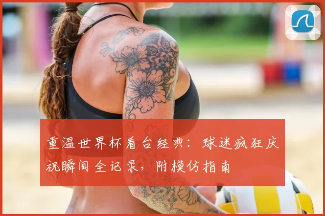 重温世界杯看台经典:球迷疯狂庆祝瞬间全记录,附模仿指南